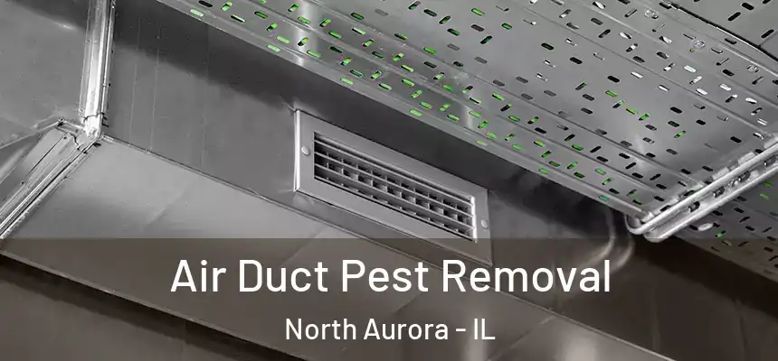  Air Duct Pest Removal North Aurora - IL