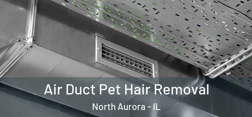  Air Duct Pet Hair Removal North Aurora - IL