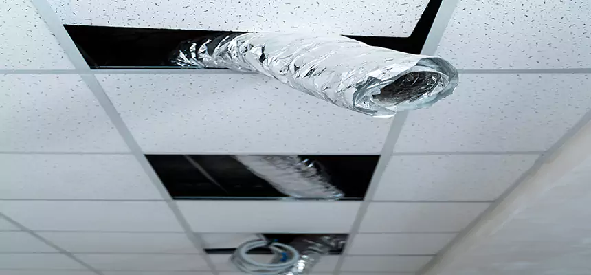 Affordable HVAC Sanitizing After Pest Removal in North Aurora