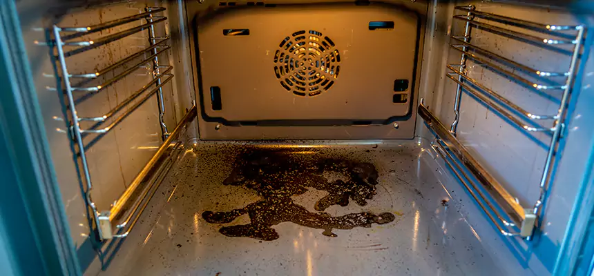 Our Dryer Vent Mold Cleaning Services in North Aurora, IL