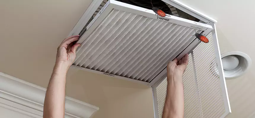 Our Insect Removal from Air Ducts Services in North Aurora, IL