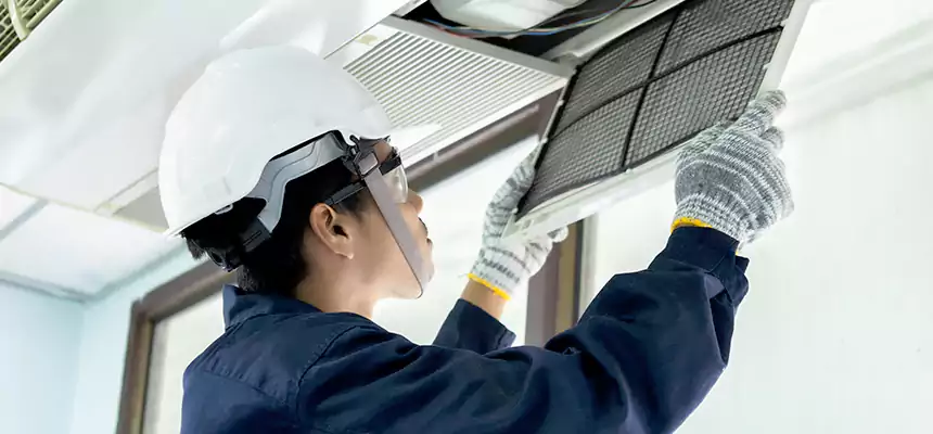 Our Mold & Mildew Removal from Air Ducts Services in North Aurora, IL