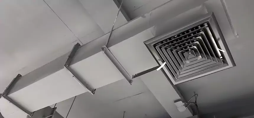 Our Pest Removal From Ducts Services in North Aurora, IL