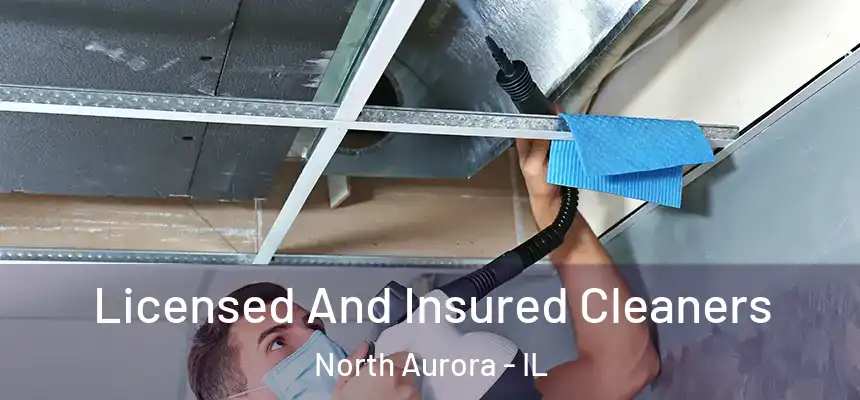  Licensed And Insured Cleaners North Aurora - IL