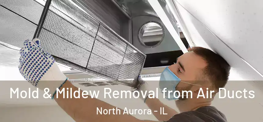  Mold & Mildew Removal from Air Ducts North Aurora - IL