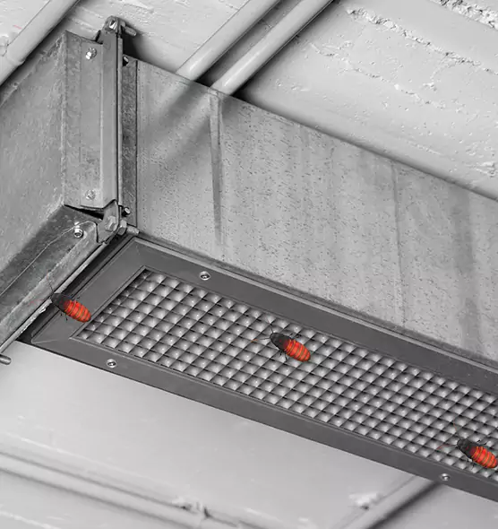 About Air Duct Cockroach Removal in North Aurora, IL