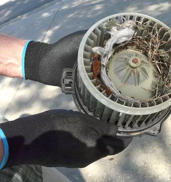 About Air Duct Rat Removal in North Aurora, IL