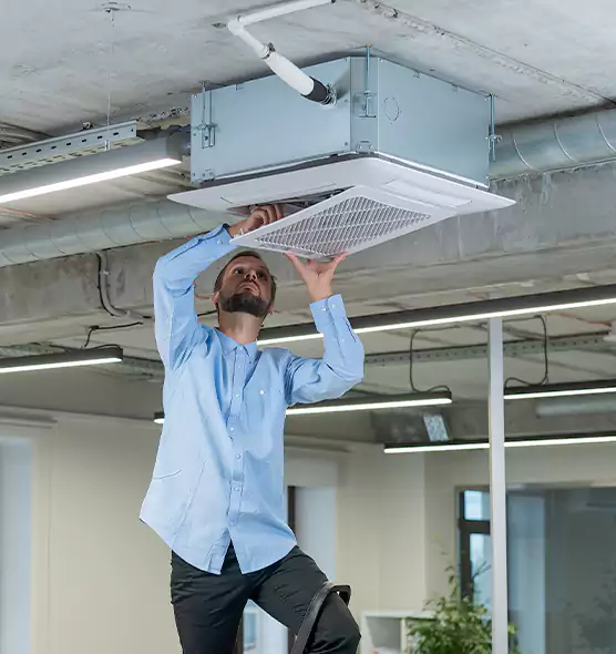 Advanced Rodent Droppings In Vents in North Aurora, IL