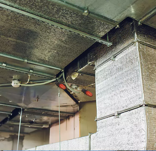 Why Homeowners & Businesses Trust Us in North Aurora, IL?