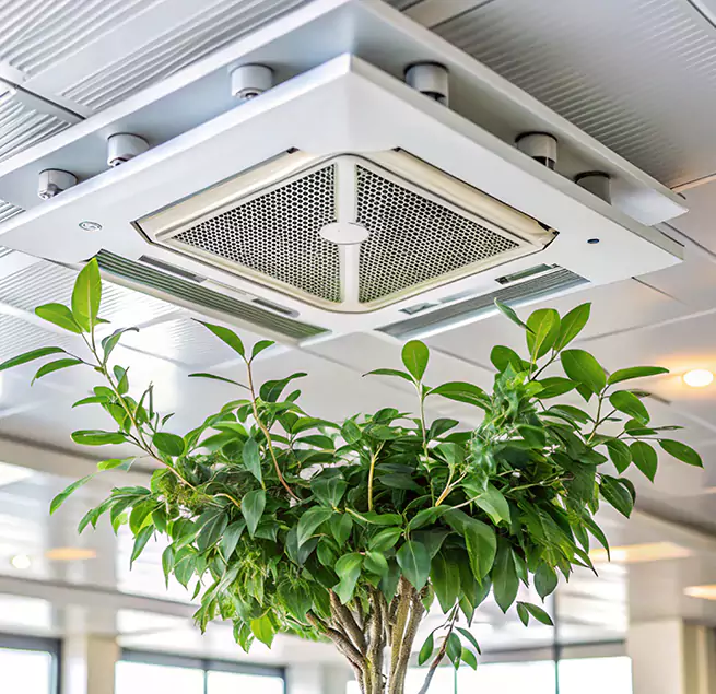 Why Homeowners & Businesses Trust Us in North Aurora, IL?