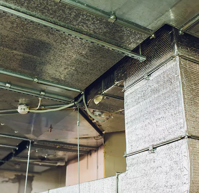 Why Homeowners & Businesses Trust Us in North Aurora, IL?